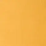 PARIS Mostaza