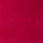 PARIS Red Rose
